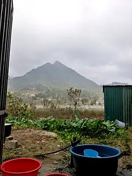 yoowwmr online show from 12-20-25, 01:30