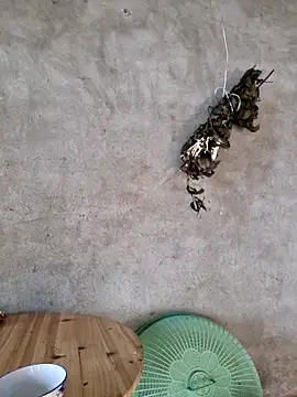 yoowwmr online show from 11-23-25, 12:53