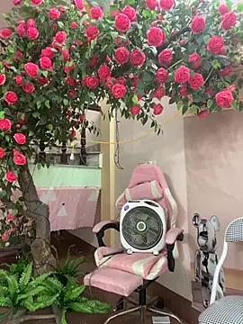 Bollozzy 89 online show from 10-06-25, 04:13