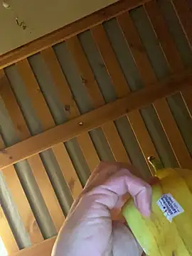 jackadi33 online show from 03-01-26, 11:27