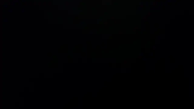 bossking017 online show from 02-19-26, 04:04