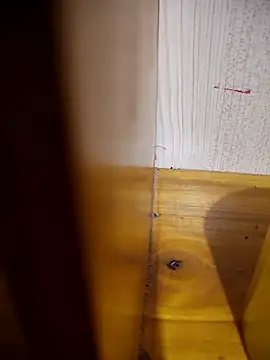 daisylouis online show from 04-21-26, 01:07