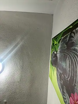 aavrdvh33 online show from 02-03-26, 10:26