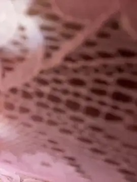 Luna 20x online show from 03-31-26, 06:43