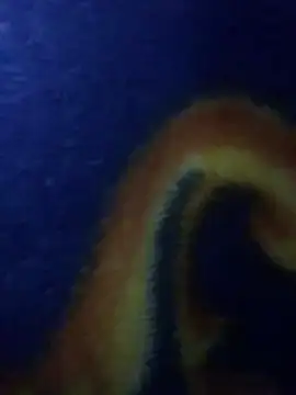 Aq2006 online show from 03-04-26, 12:51