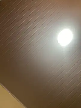 morenaluaa online show from 11-28-25, 02:56