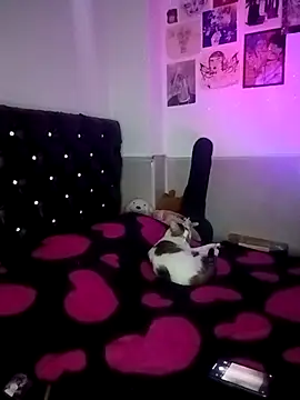 venusobryan 55 online show from 04-07-26, 11:17