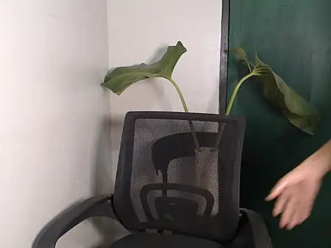 Natsboii online show from 01-11-26, 08:32