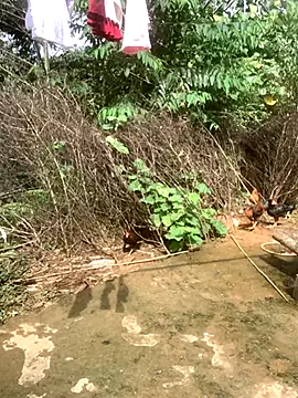 ThiHa003 online show from 11-10-25, 04:28