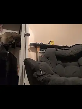 Cnutt310 online show from 12-14-25, 03:50