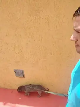 jeff pepoer online show from 01-07-26, 03:39