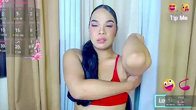 Dream Mistress online show from 11-03-25, 06:40