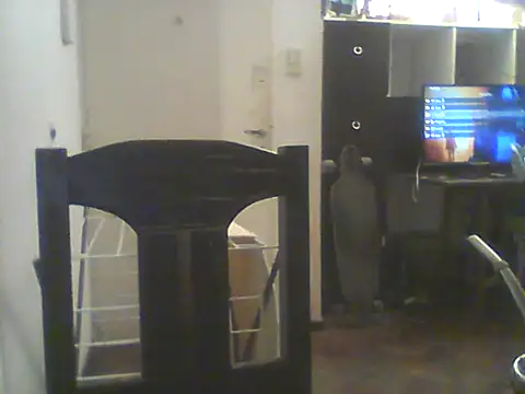 Snapshot of Bebita-zmp chatting on 07-05-26, 01:43 Bebita-zmp online show from 07-05-26, 01:43