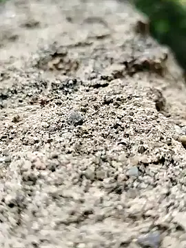 Girls pussy rider online show from 09-14-25, 01:50