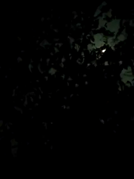 Snapshot of Girls_pussy_rider chatting on 02-28-26, 07:13 Girls pussy rider online show from 02-28-26, 07:13