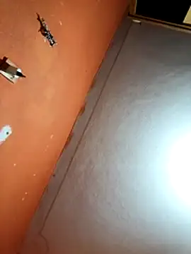 Xhimo5 online show from 02-22-26, 08:28