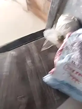 Wet BunnyFun online show from 02-25-26, 10:04