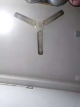 sneha bebo online show from 12-20-25, 10:40