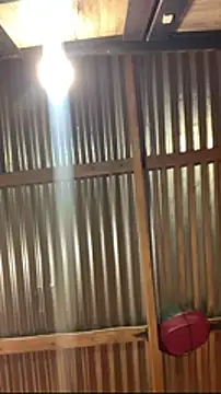 jabulani2600 online show from 01-06-26, 09:08