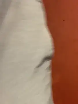 Snapshot of jabulani2600 chatting on 02-22-26, 06:16 jabulani2600 online show from 02-22-26, 06:16