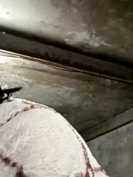 maple694 online show from 01-09-26, 03:13