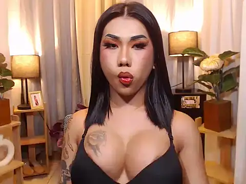 TRANSPORNIDOL online show from 02-08-26, 03:54