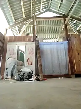 daisy will online show from 11-28-25, 01:06