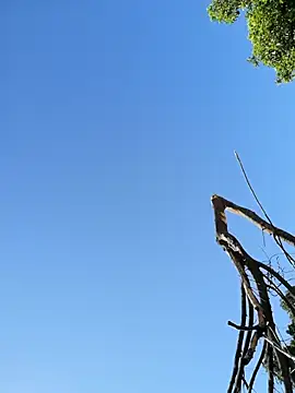 Mounstro3 online show from 03-22-26, 10:33