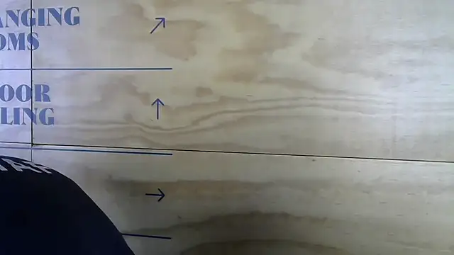 mason fit online show from 11-17-25, 08:35