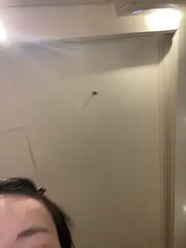 MengMeng0515 online show from 03-11-26, 02:22