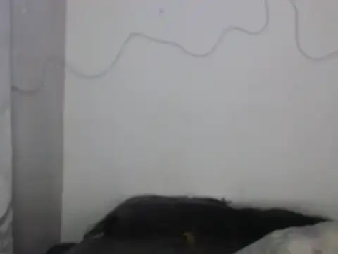 Snapshot of xalejo_max chatting on 02-16-26, 07:34 xalejo max online show from 02-16-26, 07:34