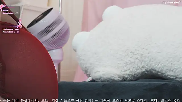 Cupid 33333 online show from 09-27-25, 07:25