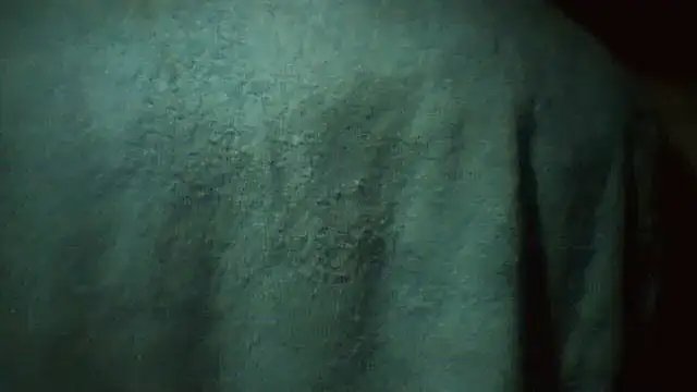 Snapshot of pietje1991 chatting on 03-02-26, 02:56 pietje1991 online show from 03-02-26, 02:56