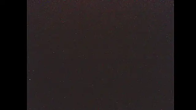 pietje1991 online show from 01-14-26, 04:05