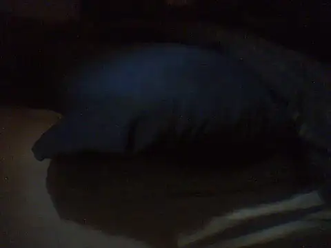 pietje1991 online show from 03-18-26, 04:19