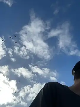 thejohnryancollection online show from 10-22-25, 10:41