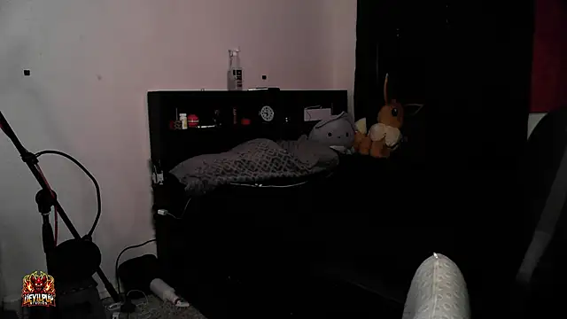 DevilPup75  online show from 04-20-26, 02:29