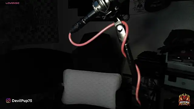 DevilPup75  online show from 01-18-26, 02:59