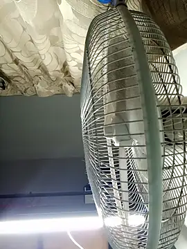 Snapshot of HarryChoudhary21 chatting on 11-03-25, 12:42 HarryChoudhary21 online show from 11-03-25, 12:42