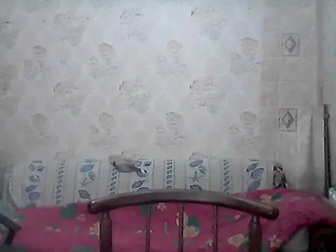 NatalieNorth online show from 02-27-26, 10:20