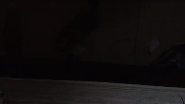 luisahot 9727 online show from 03-26-26, 06:11