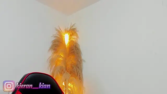 Snapshot of Kieran_kian chatting on 04-19-26, 03:57 Kieran kian online show from 04-19-26, 03:57