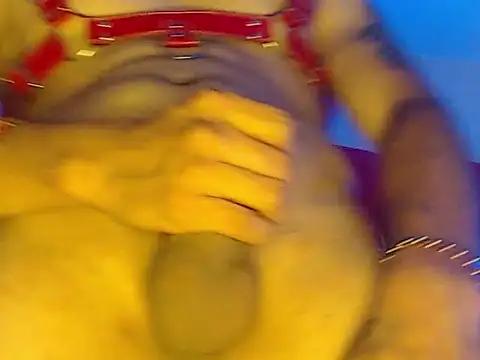 Npga96 online show from 03-22-26, 09:44