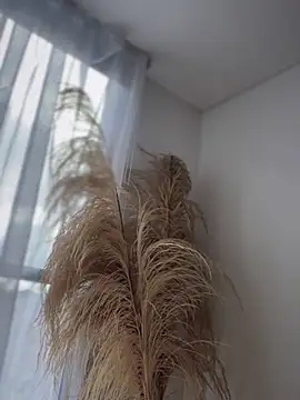 Sofi Leal online show from 11-26-25, 01:00