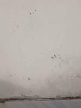 monubigcoock online show from 11-17-25, 09:57