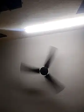 Snapshot of Devi-with-Ram chatting on 10-13-25, 04:36 Devi-with-Ram online show from 10-13-25, 04:36