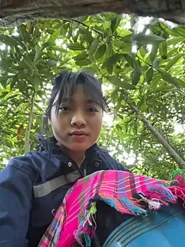 Phayphay77 online show from 11-23-25, 12:53