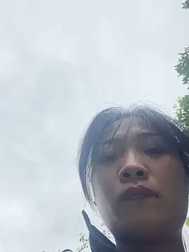 Phayphay77 online show from 12-17-25, 02:05