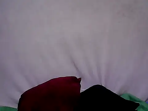 sh1nbae online show from 09-23-25, 10:22