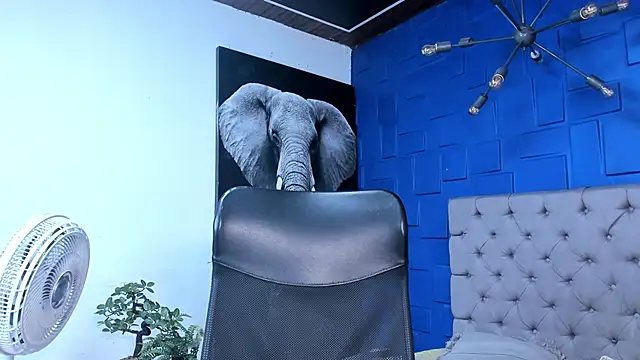 andres-clark92 online show from 10-26-25, 06:19